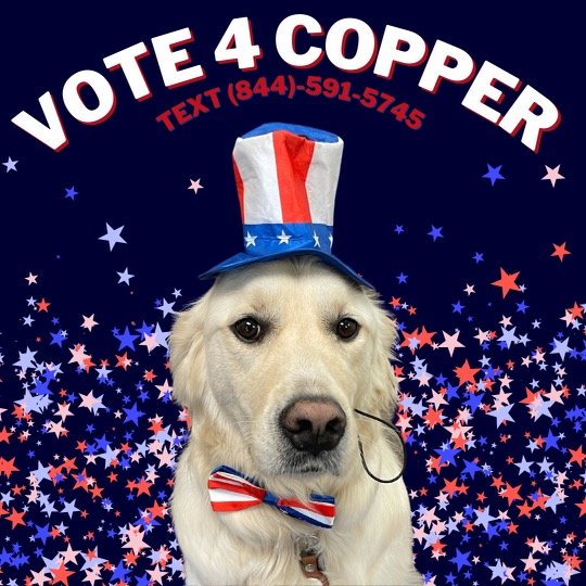 Copper the Dog Voting Day!